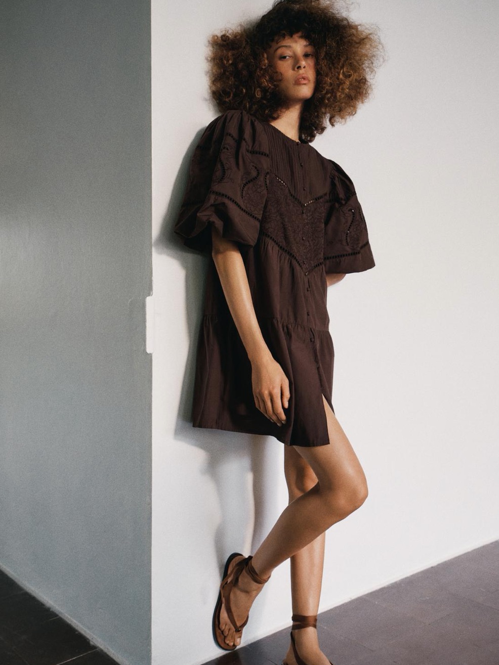 Nwt Zara Embroidered Poplin Dress